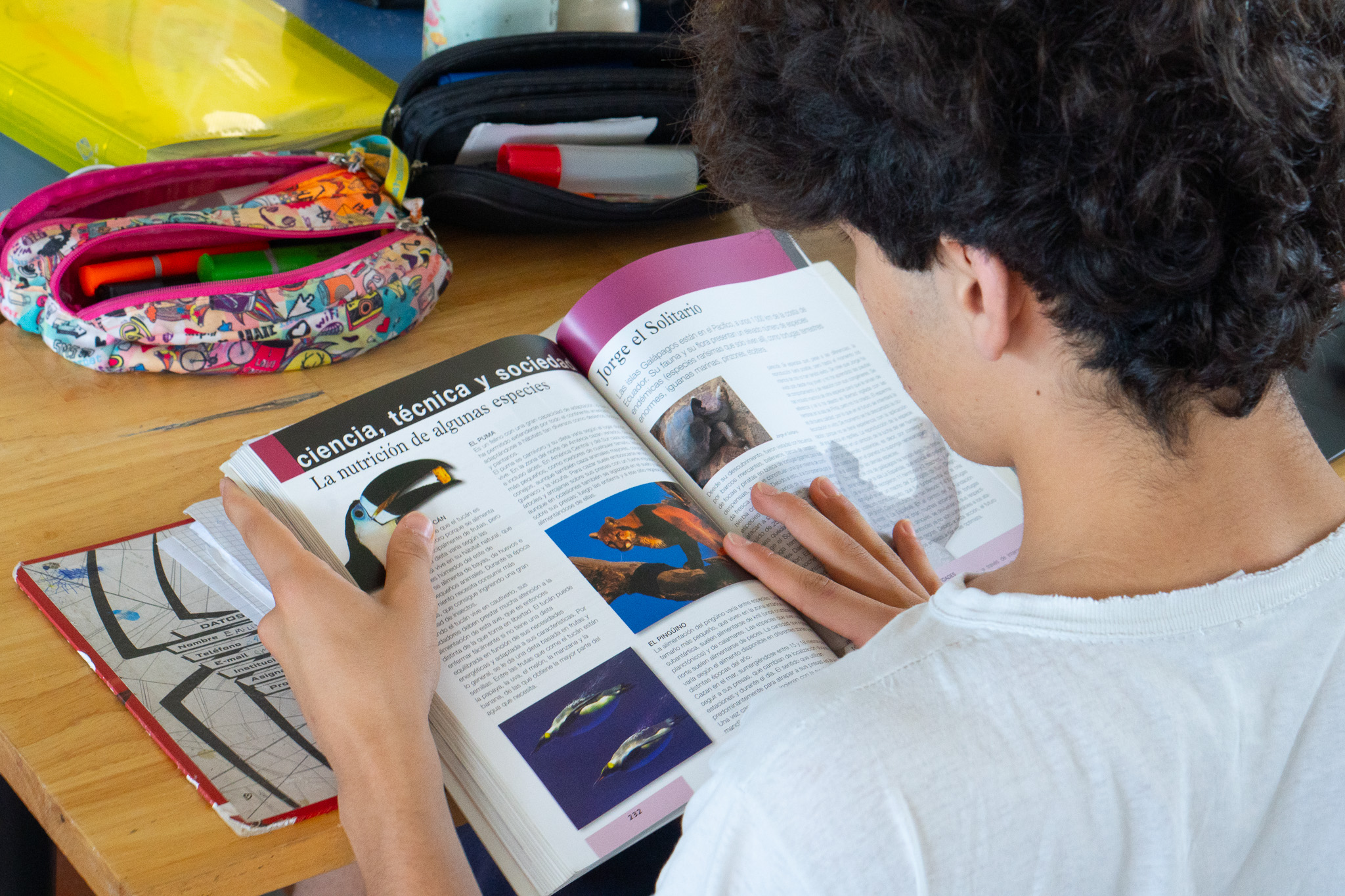 Estudiante del Colegio Tesla leyendo